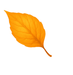 leaf