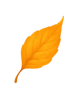 leaf